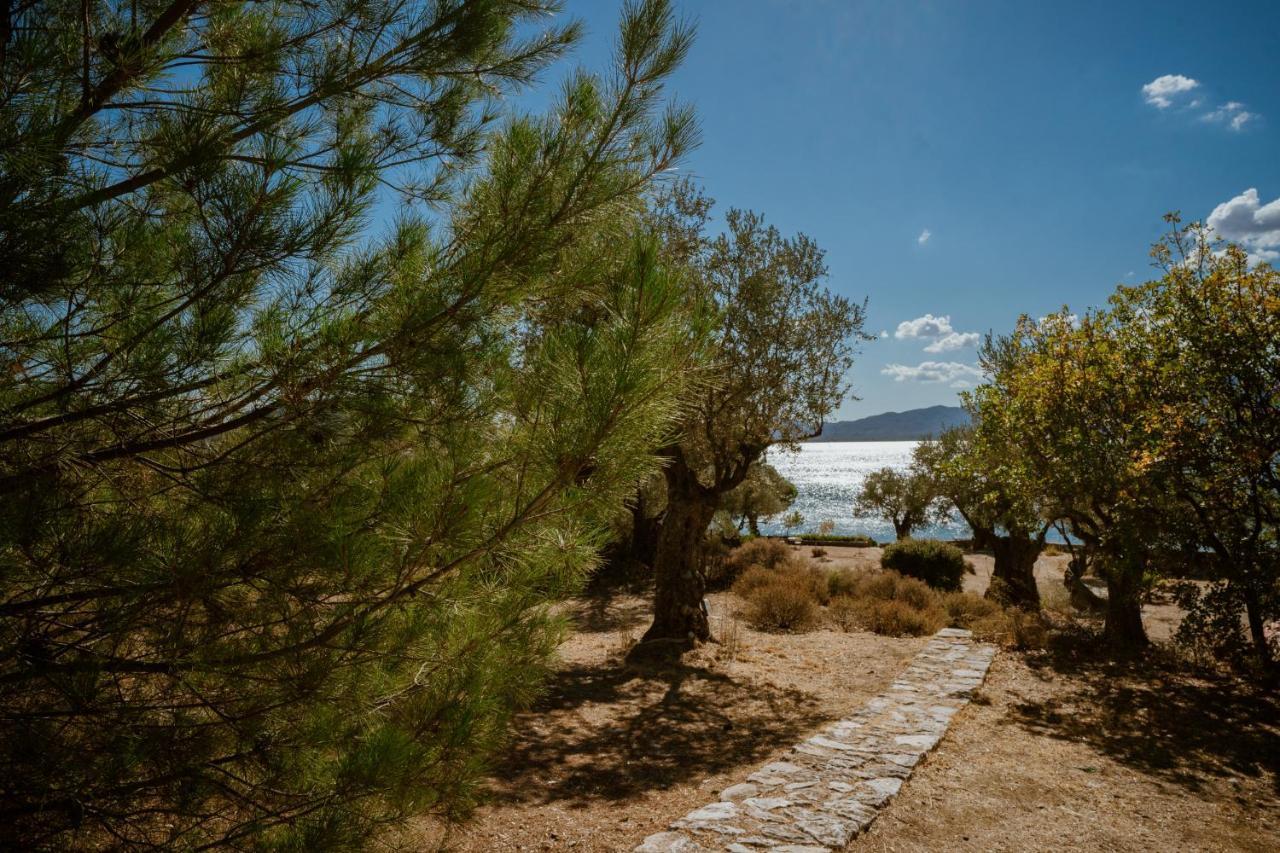 Seafront Traditional Stone House In Sunset Olive Grove - B Villa Alyfanta Ngoại thất bức ảnh